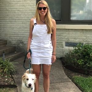 Meet your Posher, Annie